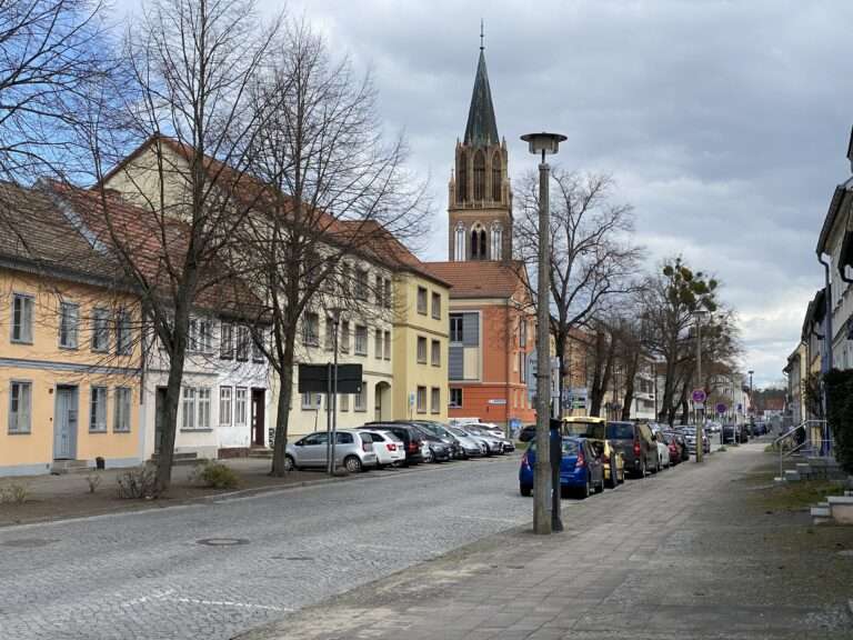 Blick auf die Große Wollweberstraße mit ihren alten Straßenbäumen.