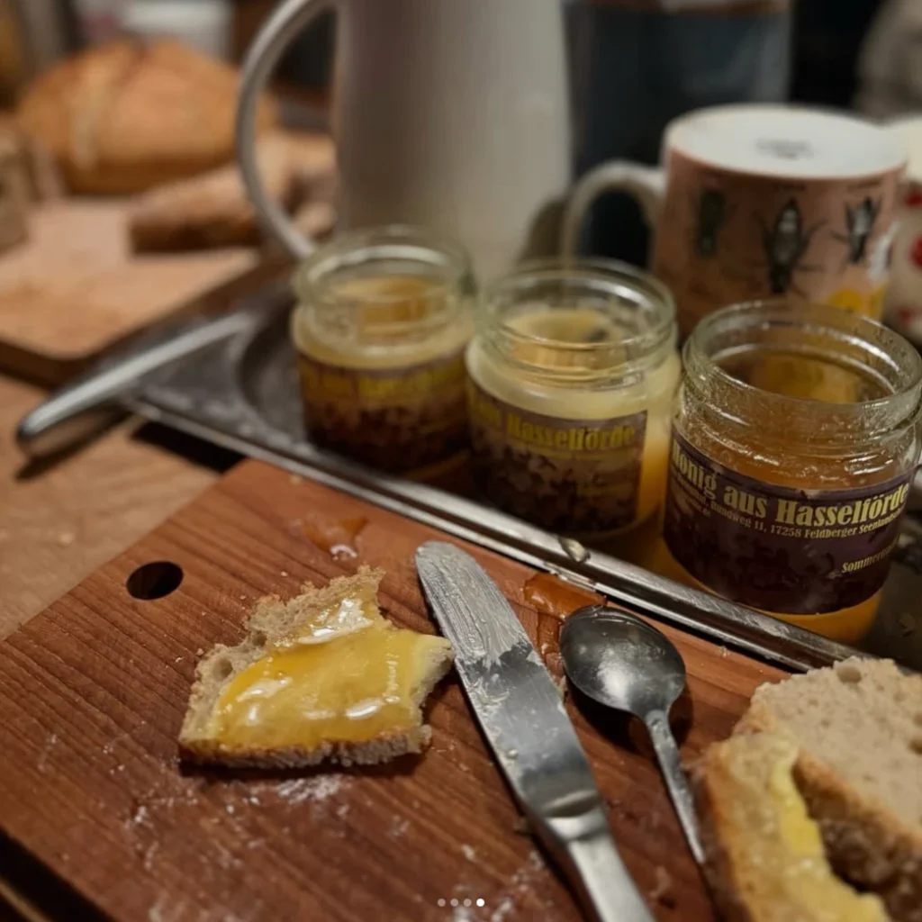 Grüner Stammtisch Feldberg