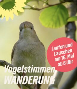 Vogelstimmenwanderung Neubrandenburg
