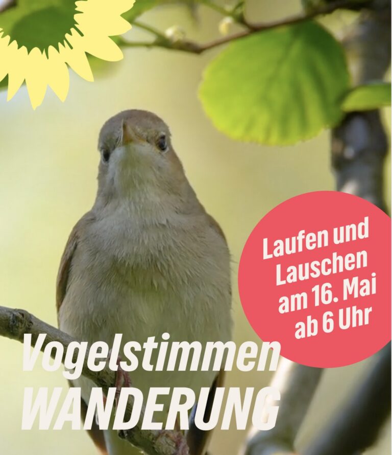 Vogelstimmenwanderung Neubrandenburg