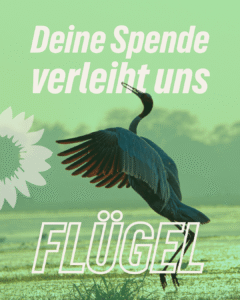 Spenden Landtagswahl Mecklenburg-Vorpommern