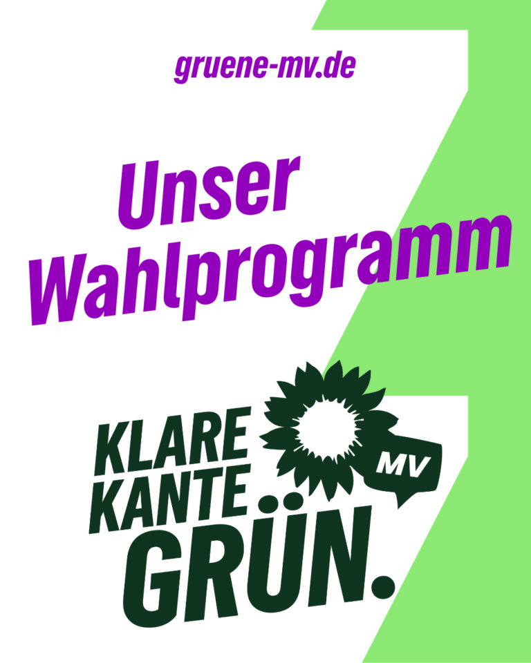 Landtagswahl MV 2026 Wahlprogramm